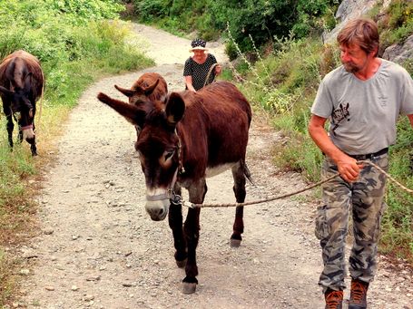 Die ungeheure Pflanzenvielfalt des botanischen Gartens auf Kreta mit über 10000 verschiedenen Pflanzen aus aller Welt muss man einfach erlebt haben. 