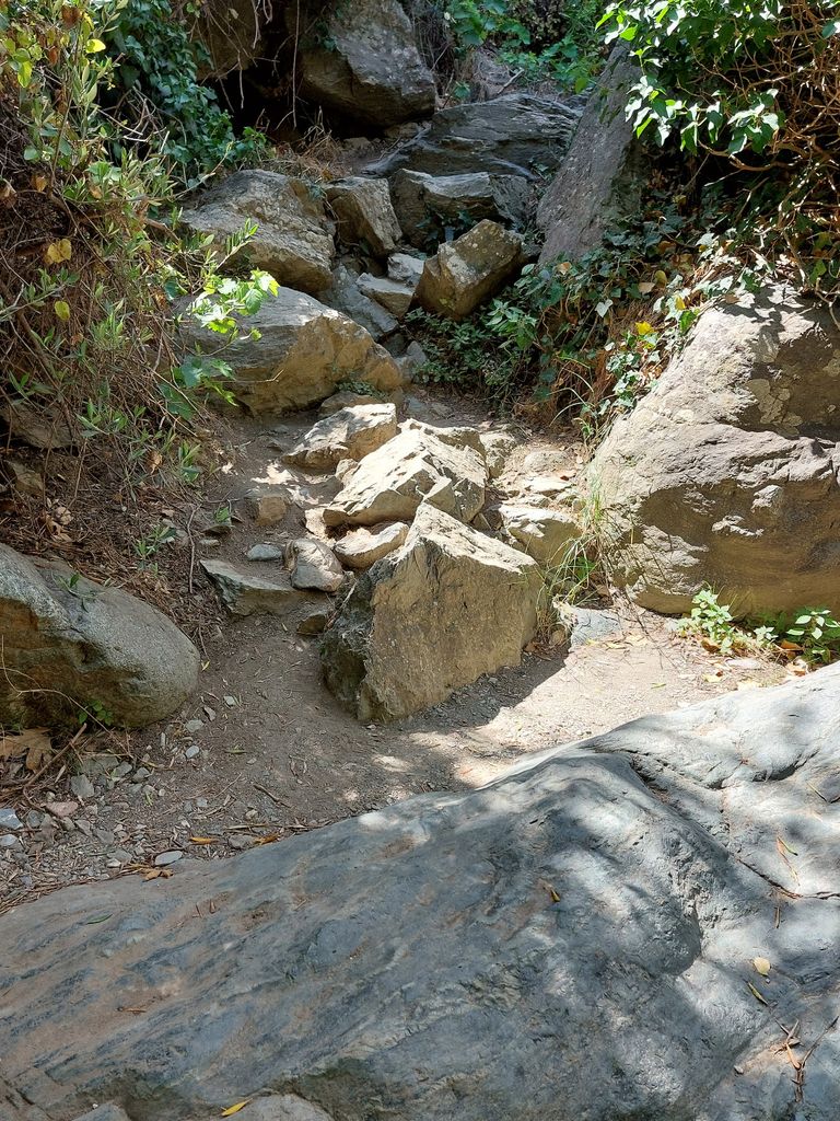 hier sind kleine Kletterpartien in der Richtis Schlucht zu überwinden