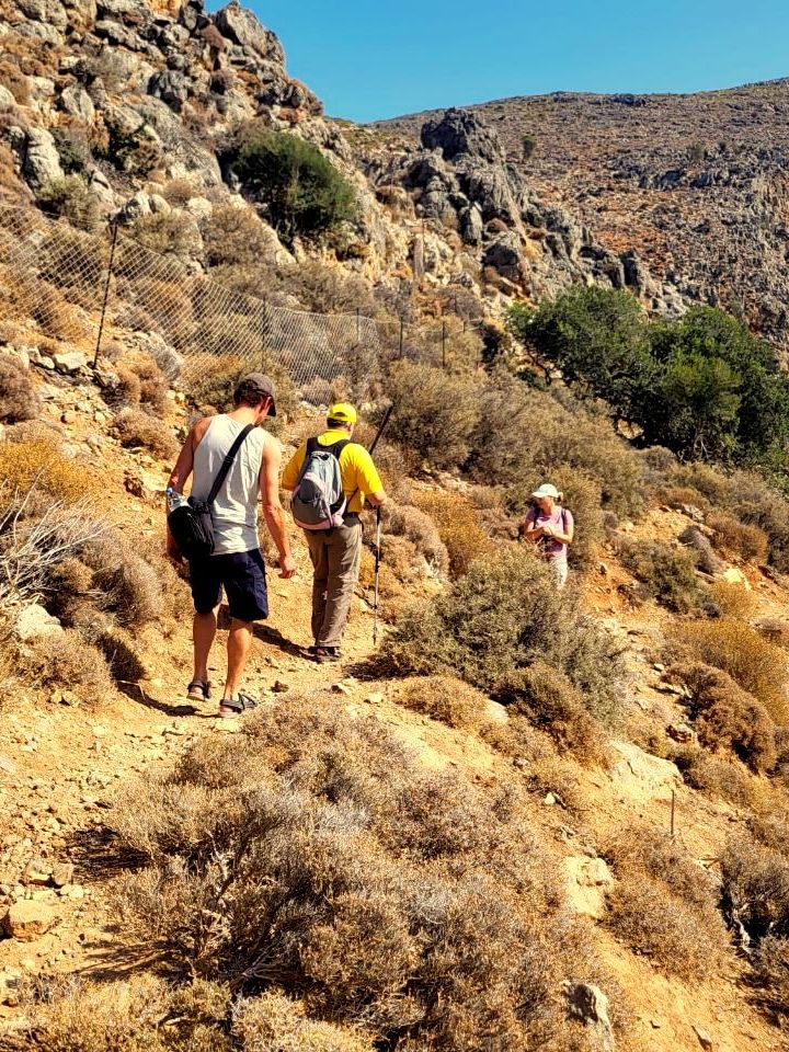 Einfach nur Genuss, dieses Bild der Palme vor dem blauen Meer, kannst du bei der Wander und Genussreise erleben. Was soll man dazu sagen, einfach WOW